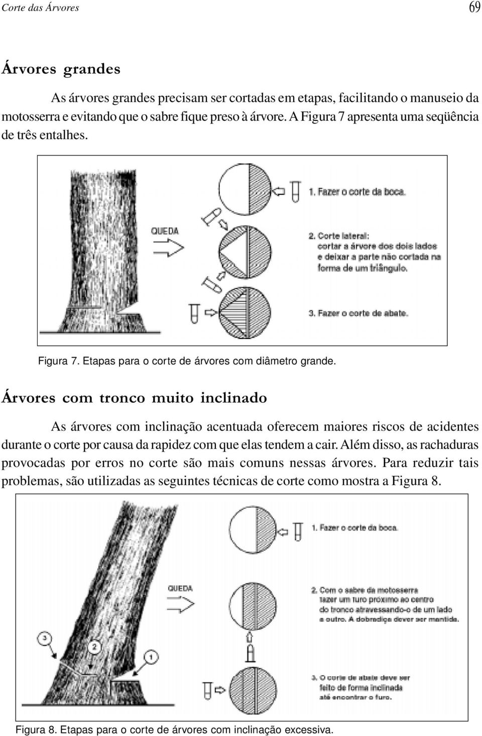 Árvores com tronco muito inclinado As árvores com inclinação acentuada oferecem maiores riscos de acidentes durante o corte por causa da rapidez com que elas tendem a cair.