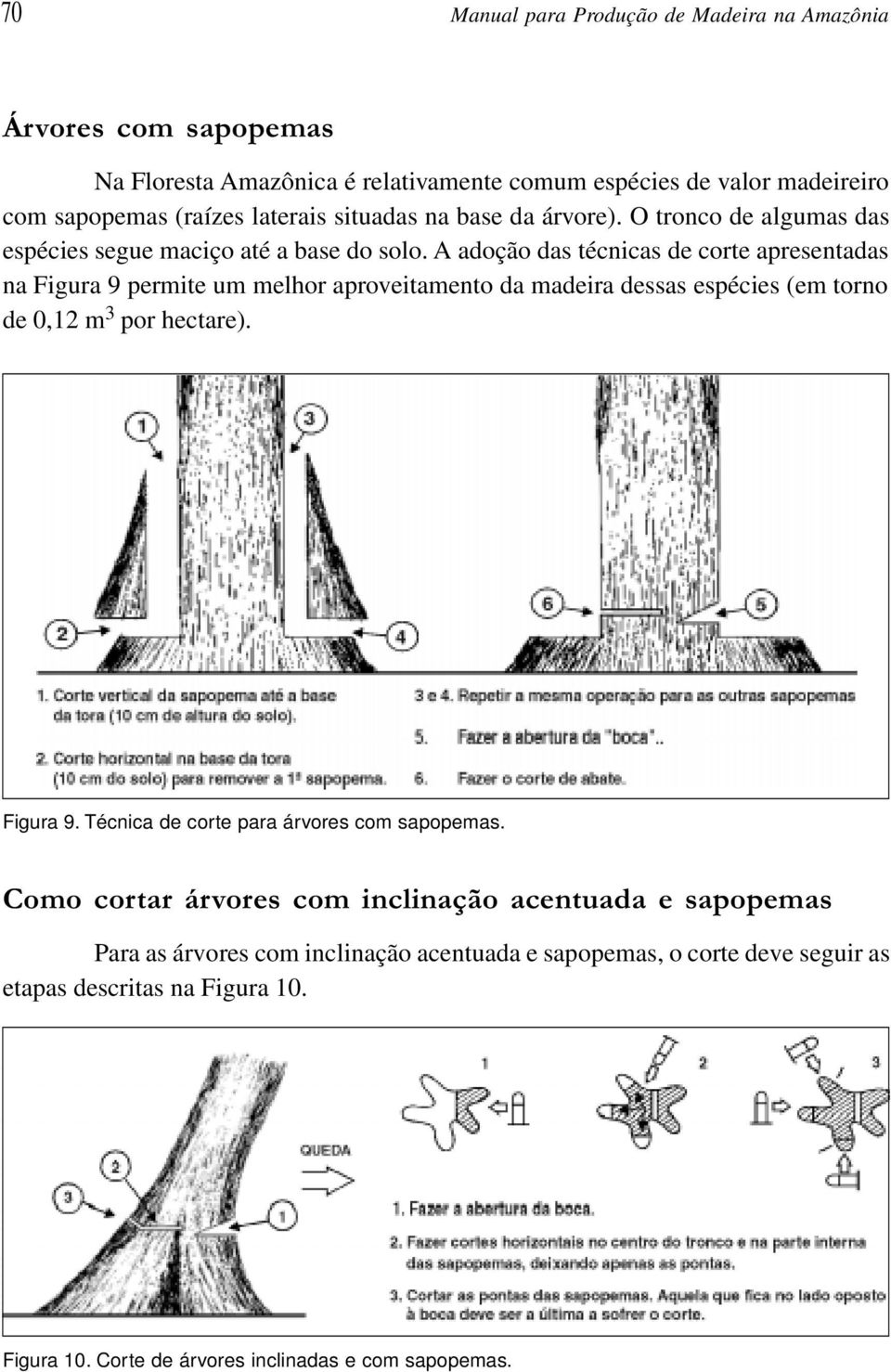 A adoção das técnicas de corte apresentadas na Figura 9 permite um melhor aproveitamento da madeira dessas espécies (em torno de 0,12 m 3 por hectare). Figura 9. Técnica de corte para árvores com sapopemas.