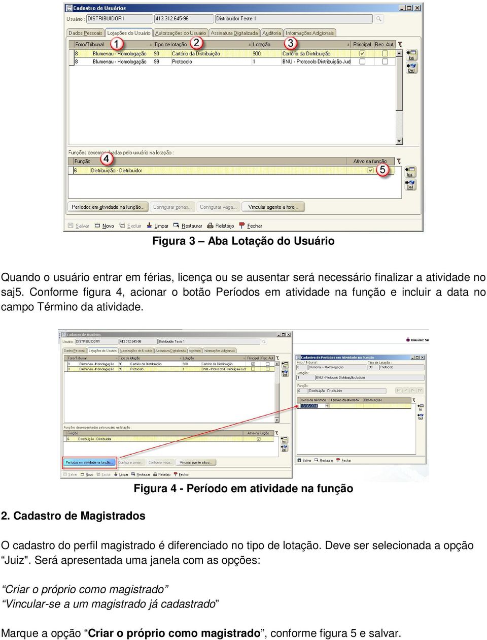 Cadastro de Magistrados Figura 4 - Período em atividade na função O cadastro do perfil magistrado é diferenciado no tipo de lotação.