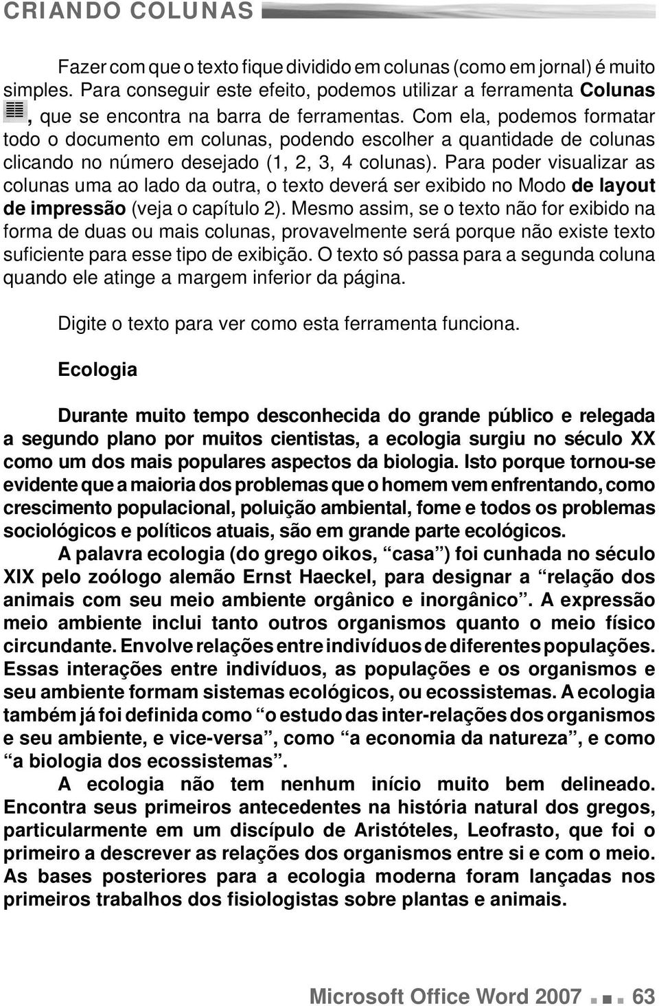 Com ela, podemos formatar todo o documento em colunas, podendo escolher a quantidade de colunas clicando no número desejado (1, 2, 3, 4 colunas).