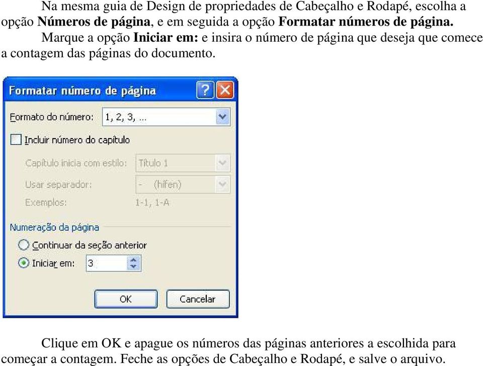 Marque a opção Iniciar em: e insira o número de página que deseja que comece a contagem das páginas do