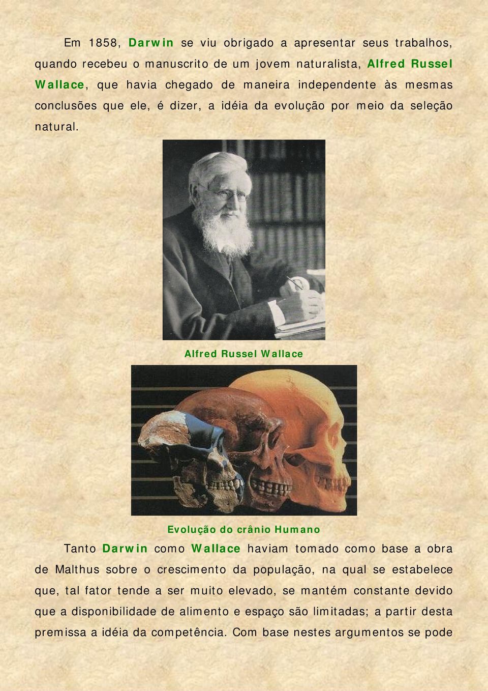 Alfred Russel Wallace Evolução do crânio Humano Tanto Darwin como Wallace haviam tomado como base a obra de Malthus sobre o crescimento da população, na qual se