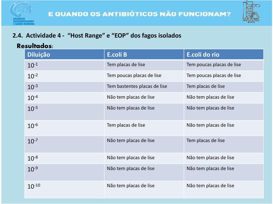 de lise 10-4 Não tem placas de lise Nãotem placas de lise 10-5 Não tem placas de lise Nãotem placas de lise 10-6 Templacas de lise Nãotem placas de lise 10-7