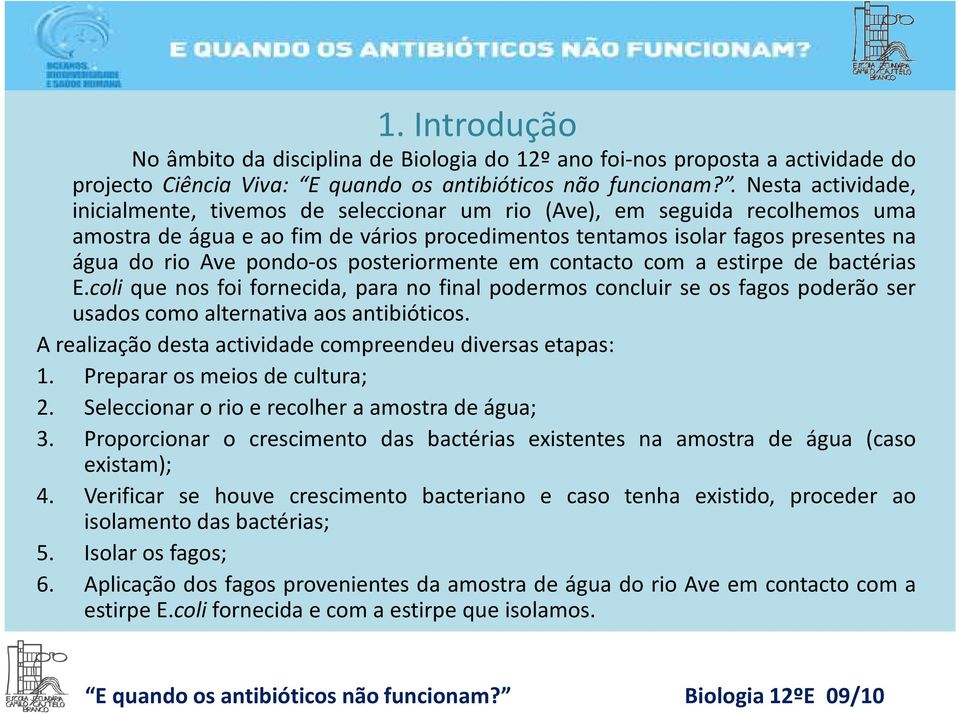 pondo-os posteriormente em contacto com a estirpe de bactérias E.coli que nos foi fornecida, para no final podermos concluir se os fagos poderão ser usados como alternativa aos antibióticos.