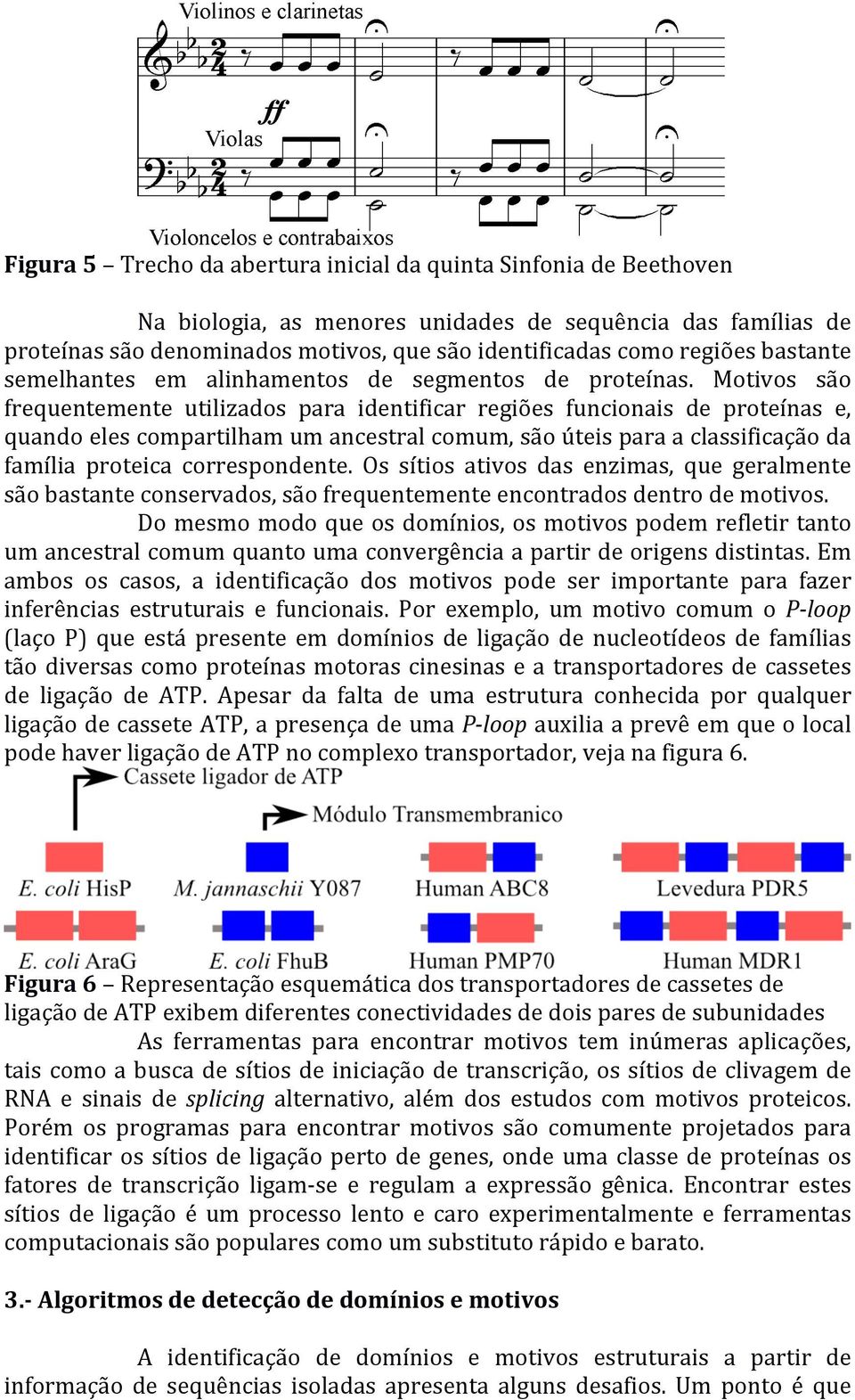 Motivos são frequentemente utilizados para identificar regiões funcionais de proteínas e, quando eles compartilham um ancestral comum, são úteis para a classificação da família proteica