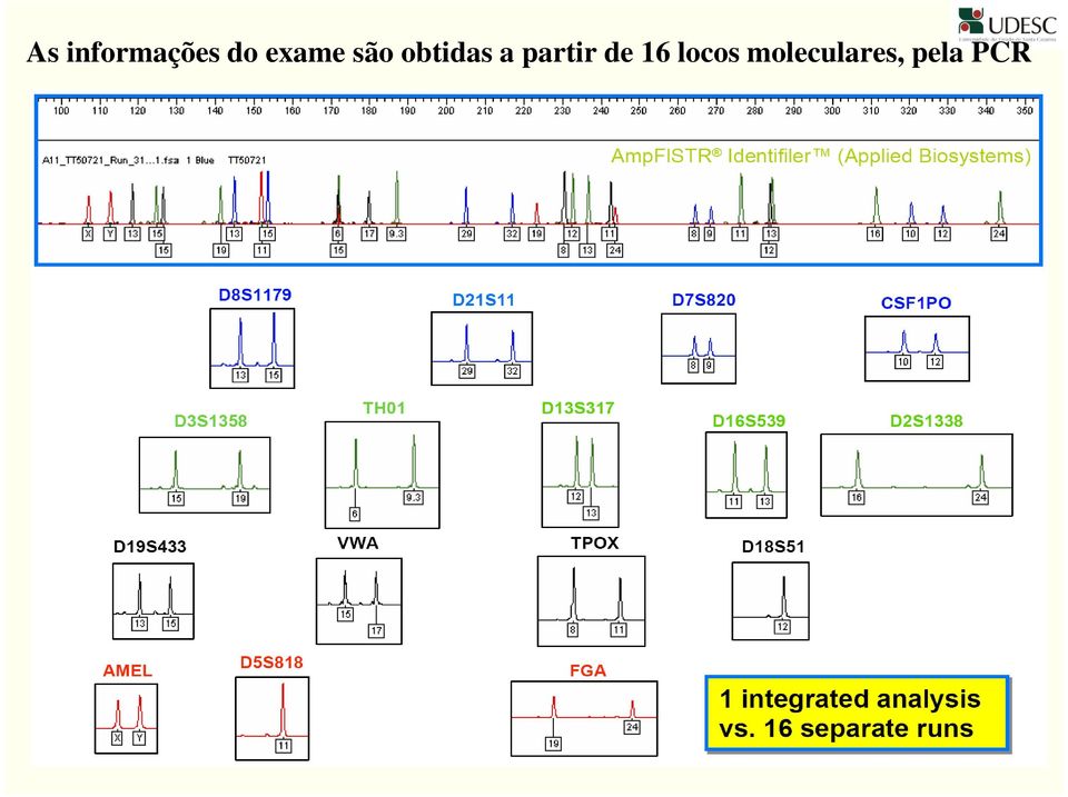 partir de 16 locos