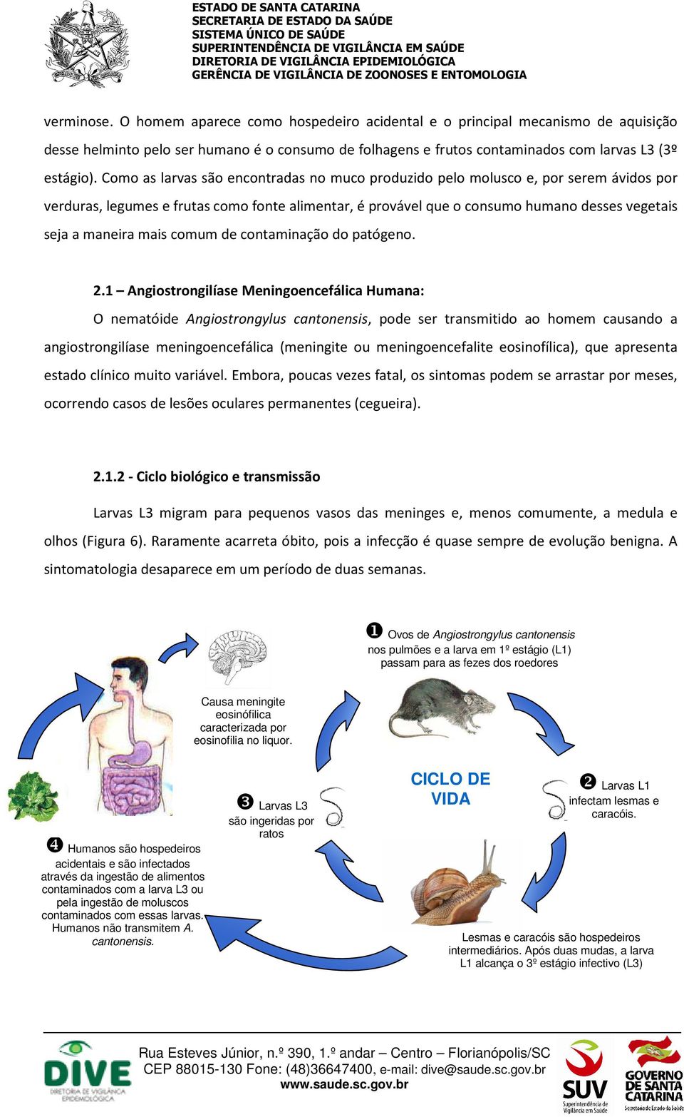 mais comum de contaminação do patógeno. 2.