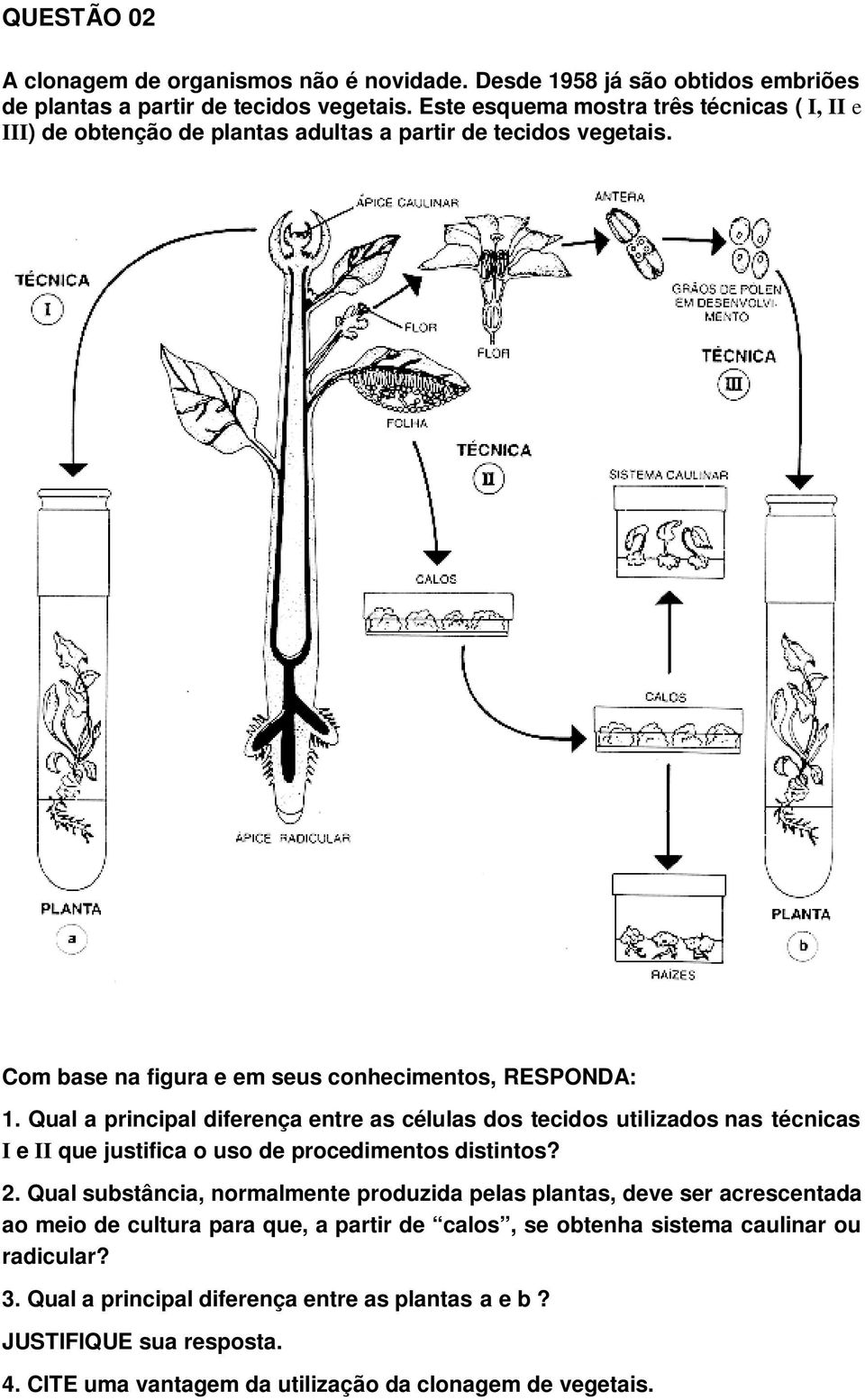 Qual a principal diferença entre as células dos tecidos utilizados nas técnicas I e II que justifica o uso de procedimentos distintos? 2.