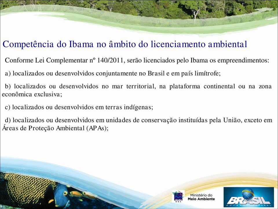 mar territorial, na plataforma continental ou na zona econômica exclusiva; c) localizados ou desenvolvidos em terras indígenas;