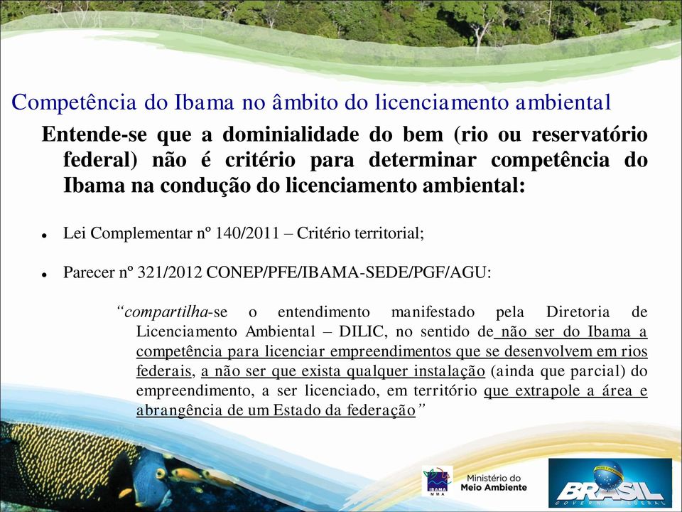 entendimento manifestado pela Diretoria de Licenciamento Ambiental DILIC, no sentido de não ser do Ibama a competência para licenciar empreendimentos que se desenvolvem em