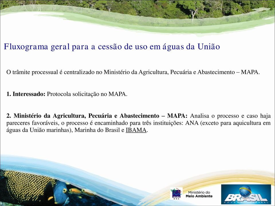 Ministério da Agricultura, Pecuária e Abastecimento MAPA: Analisa o processo e caso haja pareceres favoráveis,