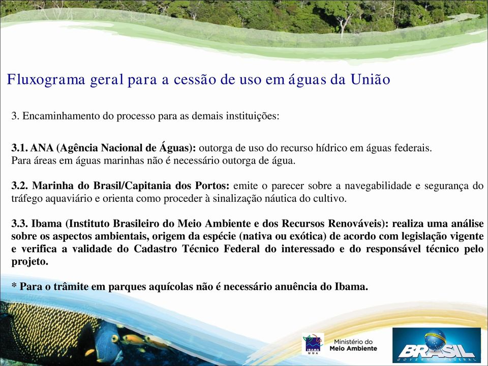 Marinha do Brasil/Capitania dos Portos: emite o parecer sobre a navegabilidade e segurança do tráfego aquaviário e orienta como proceder à sinalização náutica do cultivo. 3.