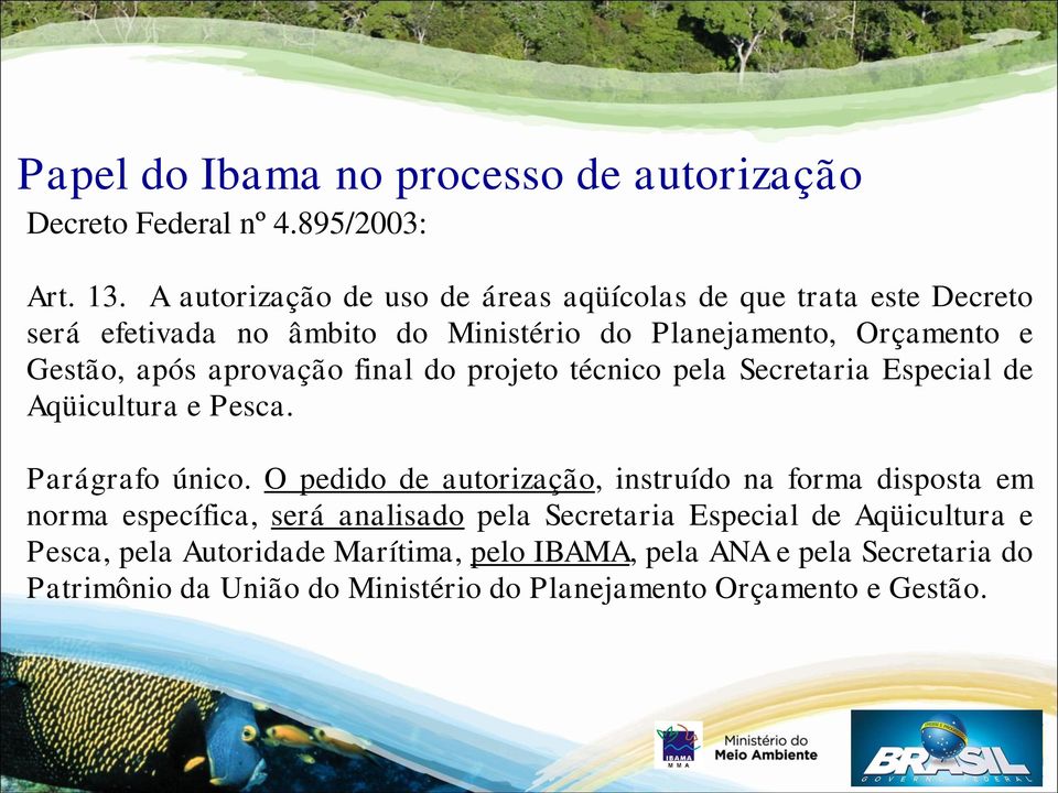 aprovação final do projeto técnico pela Secretaria Especial de Aqüicultura e Pesca. Parágrafo único.