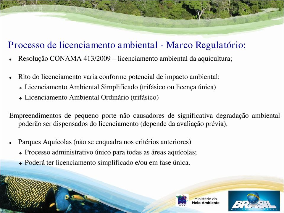 de pequeno porte não causadores de significativa degradação ambiental poderão ser dispensados do licenciamento (depende da avaliação prévia).