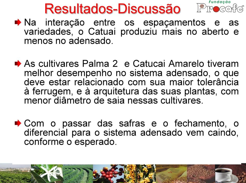 As cultivares Palma 2 e Catucai Amarelo tiveram melhor desempenho no sistema adensado, o que deve estar relacionado