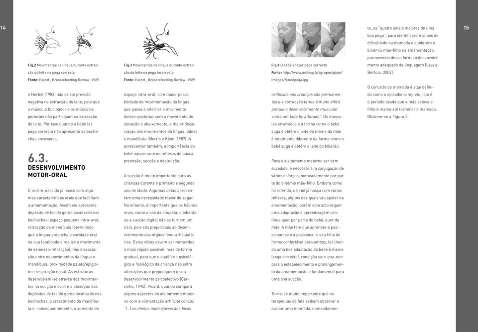 unifesp.br/grupos/giam/ adequado da linguagem (Levy e Bértolo, 2002).