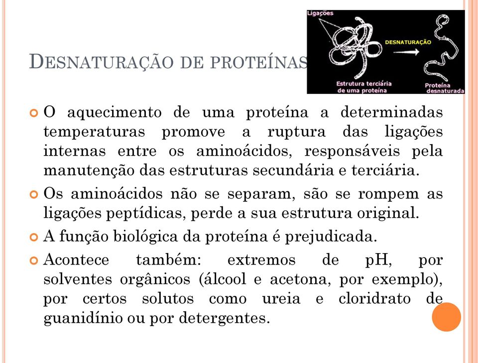 Os aminoácidos não se separam, são se rompem as ligações peptídicas, perde a sua estrutura original.