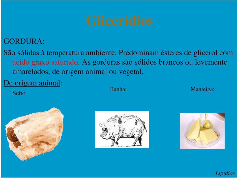 As gorduras são sólidos brancos ou levemente amarelados, de