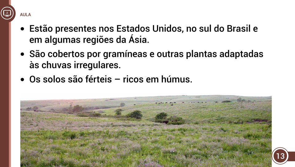 São cobertos por gramíneas e outras plantas