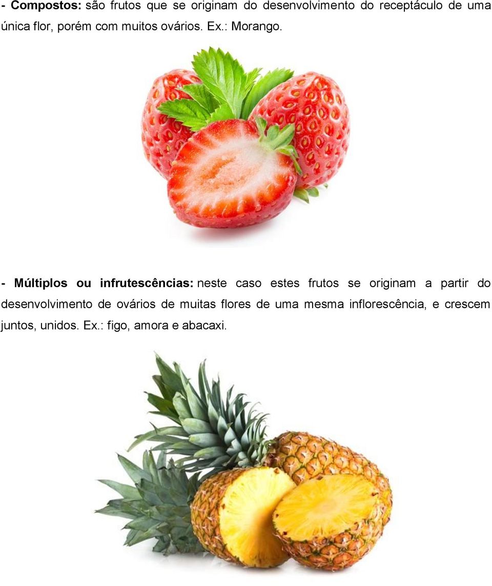 - Múltiplos ou infrutescências: neste caso estes frutos se originam a partir do