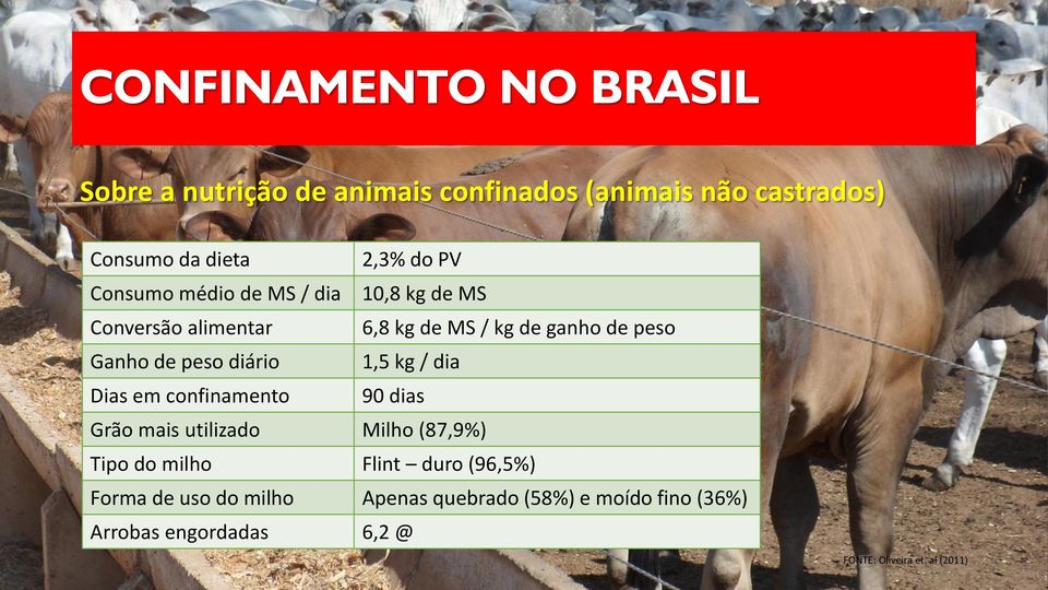 diário 1,5 kg / dia Dias em confinamento 90 dias Grão mais utilizado Milho (87,9%) Tipo do milho Flint duro