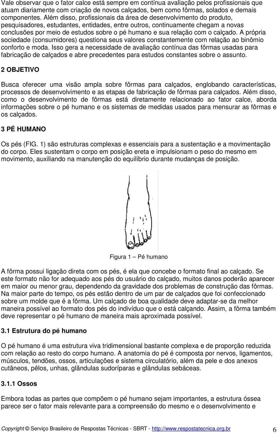 sua relação com o calçado. A própria sociedade (consumidores) questiona seus valores constantemente com relação ao binômio conforto e moda.