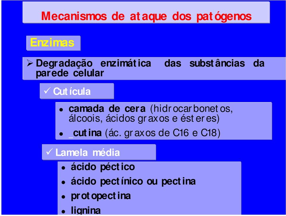 (hidrocarbonetos, álcoois, ácidos graxos e ésteres) cutina (ác.