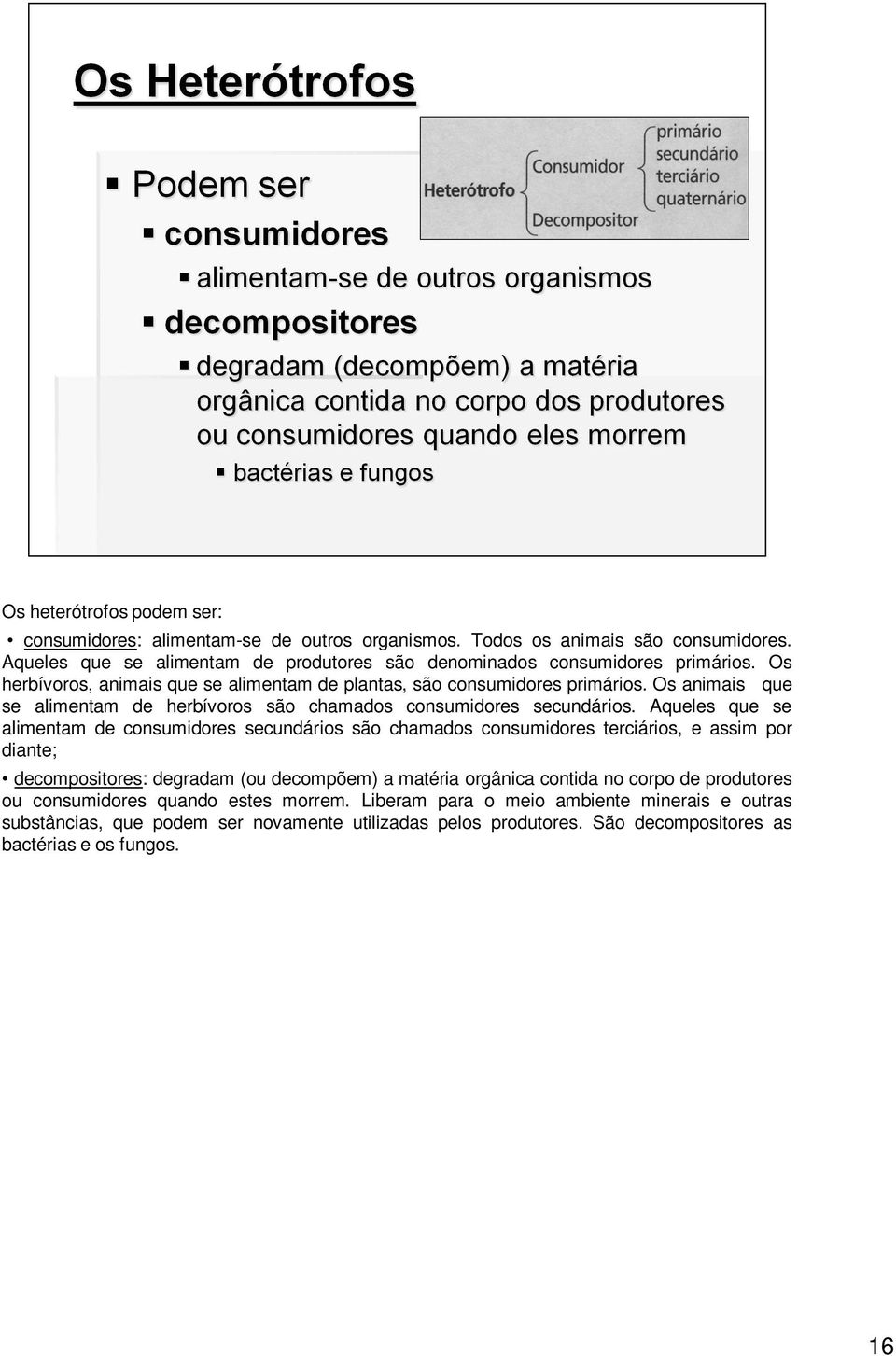 Os animais que se alimentam de herbívoros são chamados consumidores secundários.