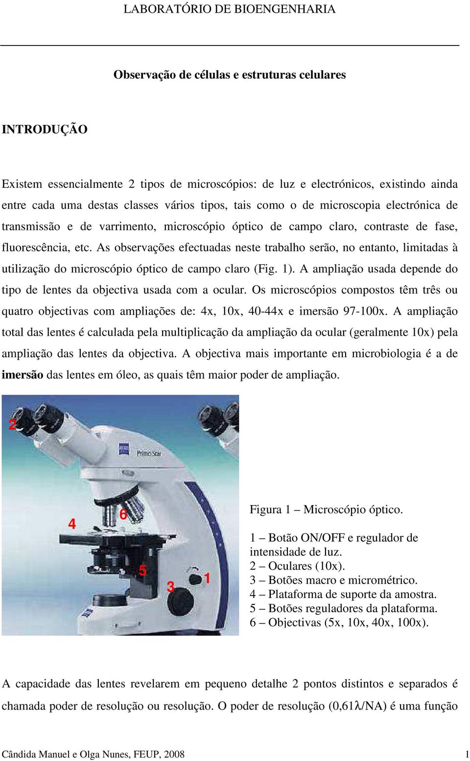 As observações efectuadas neste trabalho serão, no entanto, limitadas à utilização do microscópio óptico de campo claro (Fig. 1).