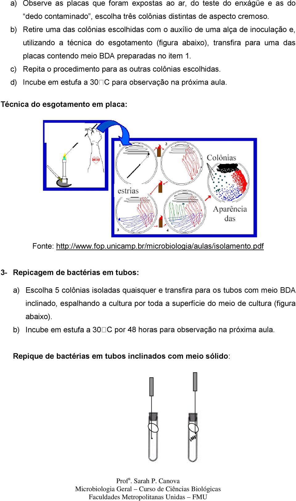 item 1. c) Repita o procedimento para as outras colônias escolhidas. d) Técnica do esgotamento em placa: Fonte: http://www.fop.unicamp.br/microbiologia/aulas/isolamento.