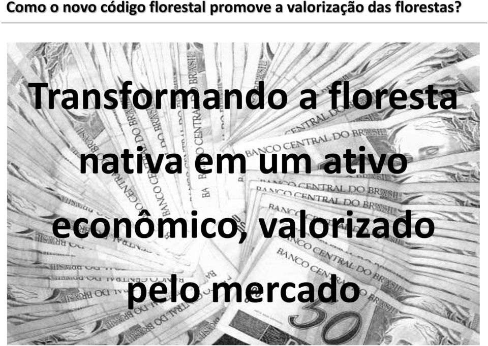 Transformando a floresta nativa em