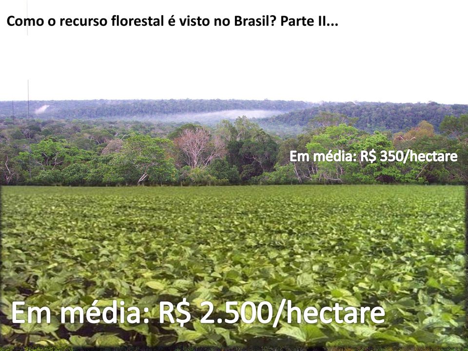 florestal é