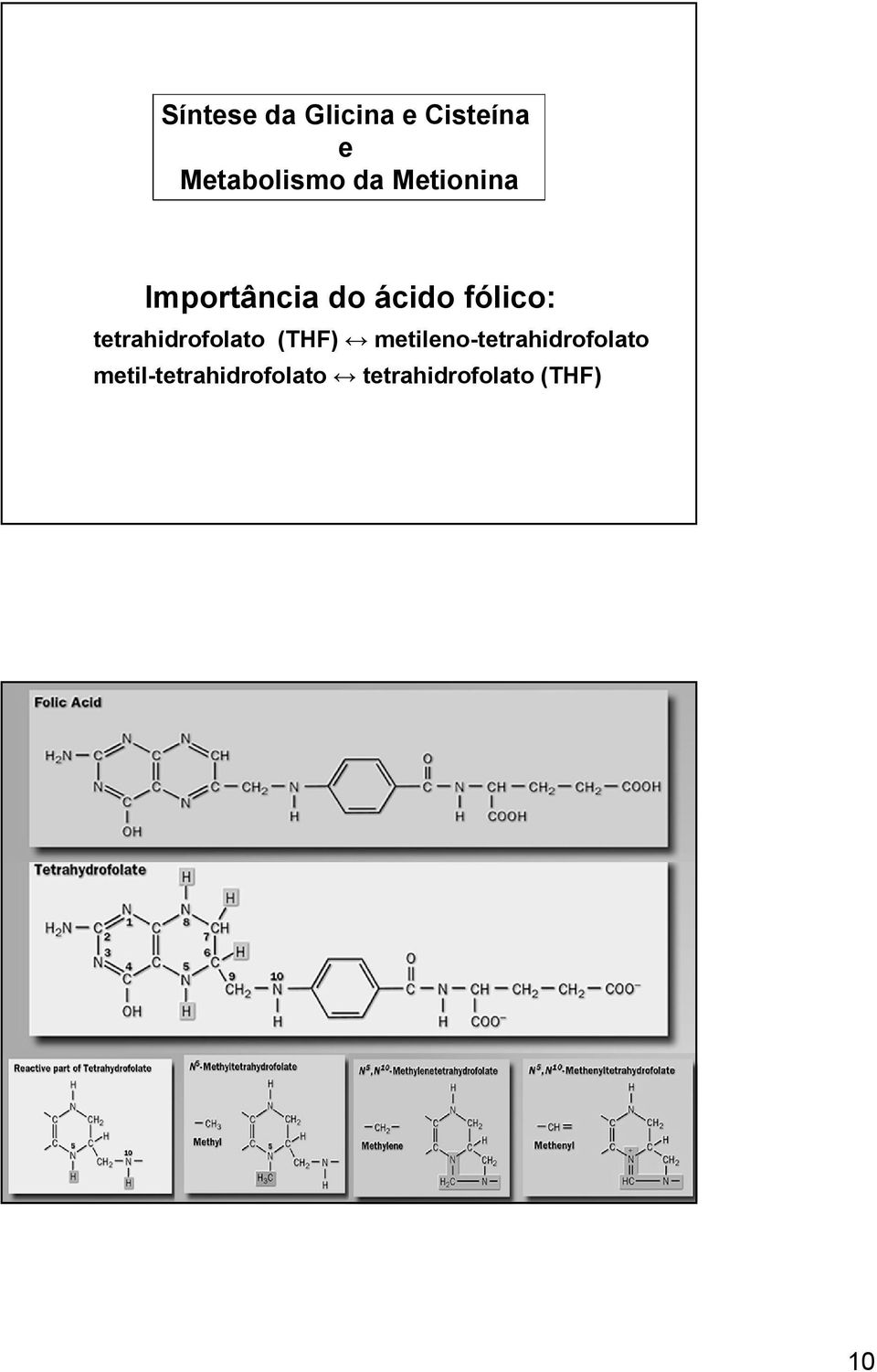 tetrahidrofolato (THF)