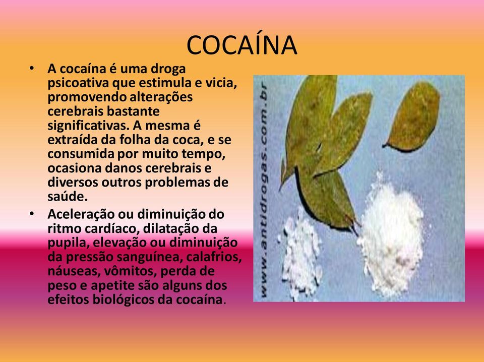 A mesma é extraída da folha da coca, e se consumida por muito tempo, ocasiona danos cerebrais e diversos outros