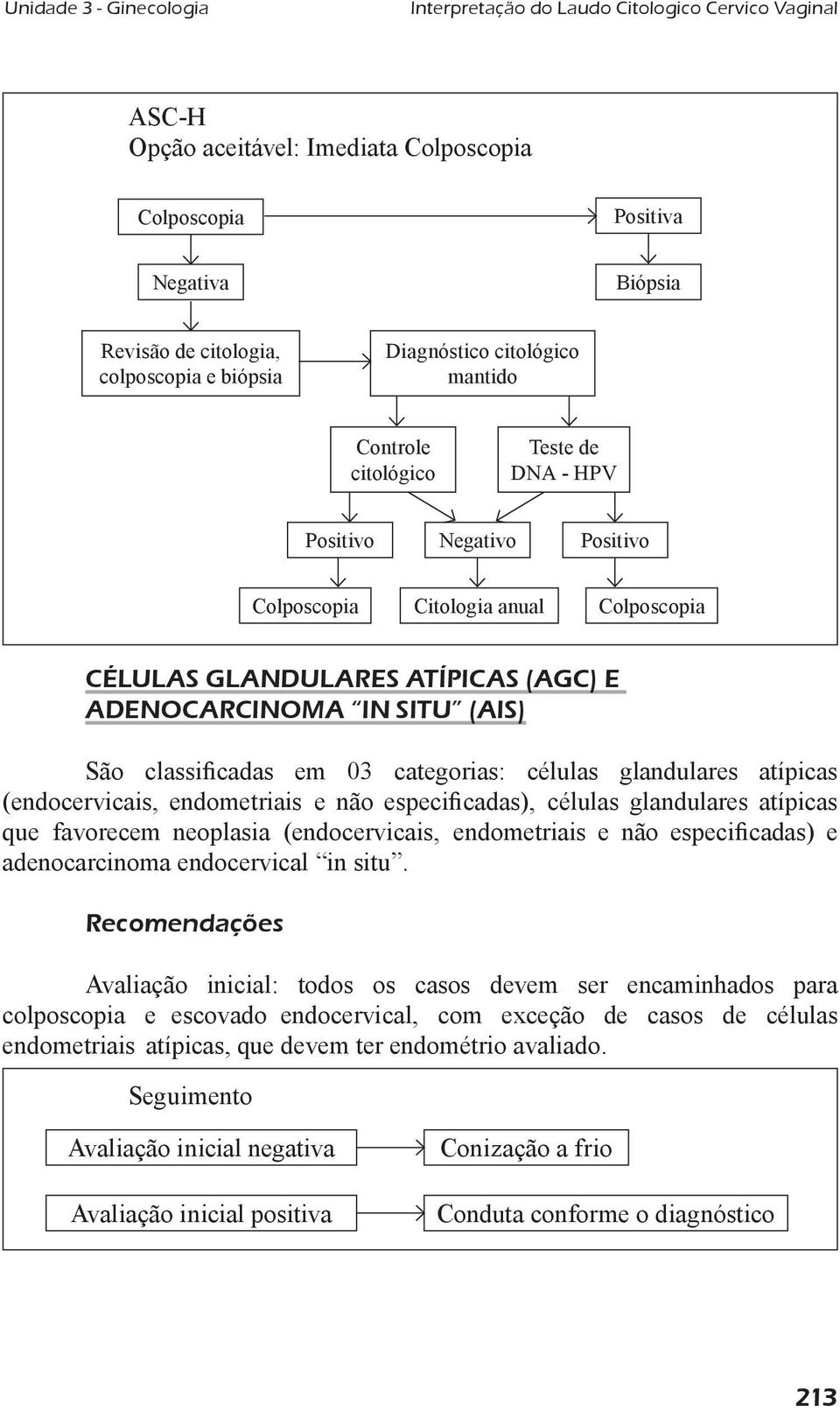 glandulares atípicas (endocervicais, endometriais e não especiicadas), células glandulares atípicas que favorecem neoplasia (endocervicais, endometriais e não especiicadas) e adenocarcinoma
