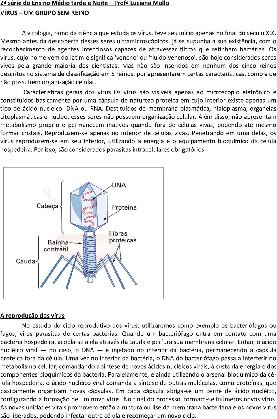 Os vírus, cujo nome vem do latim e significa 'veneno' ou 'fluido venenoso', são hoje considerados seres vivos pela grande maioria dos cientistas.