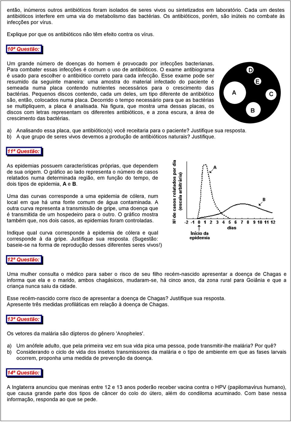 Um grande número de doenças do homem é provocado por infecções bacterianas. Para combater essas infecções é comum o uso de antibióticos.