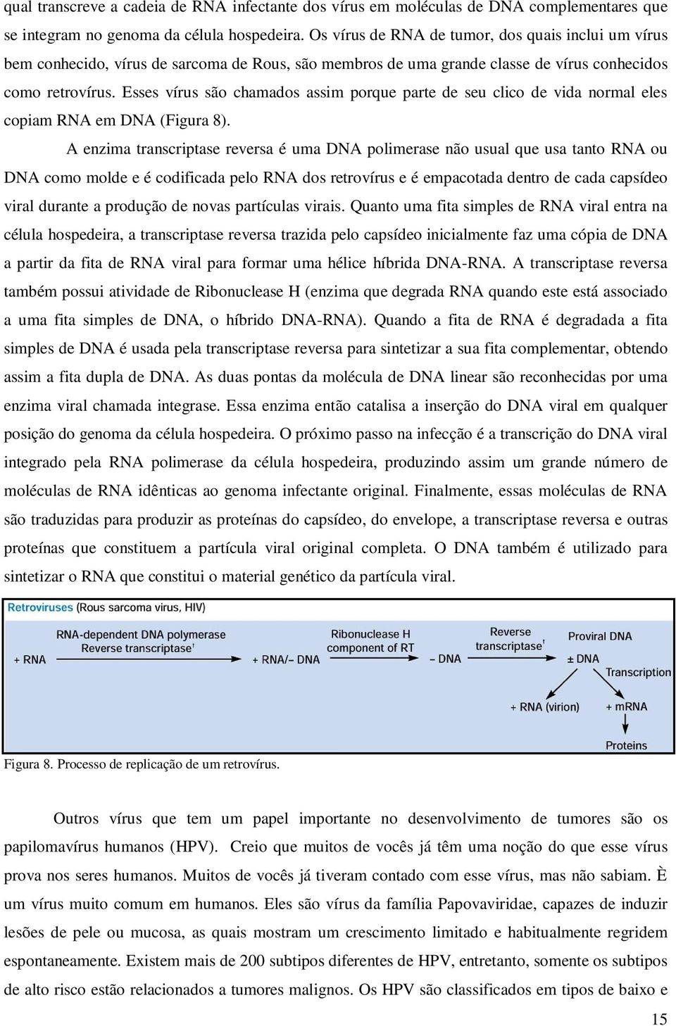 Esses vírus são chamados assim porque parte de seu clico de vida normal eles copiam RNA em DNA (Figura 8).