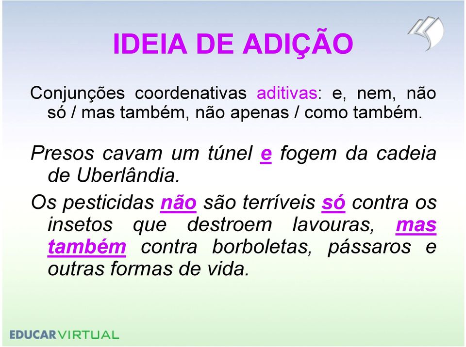 Presos cavam um túnel e fogem da cadeia de Uberlândia.