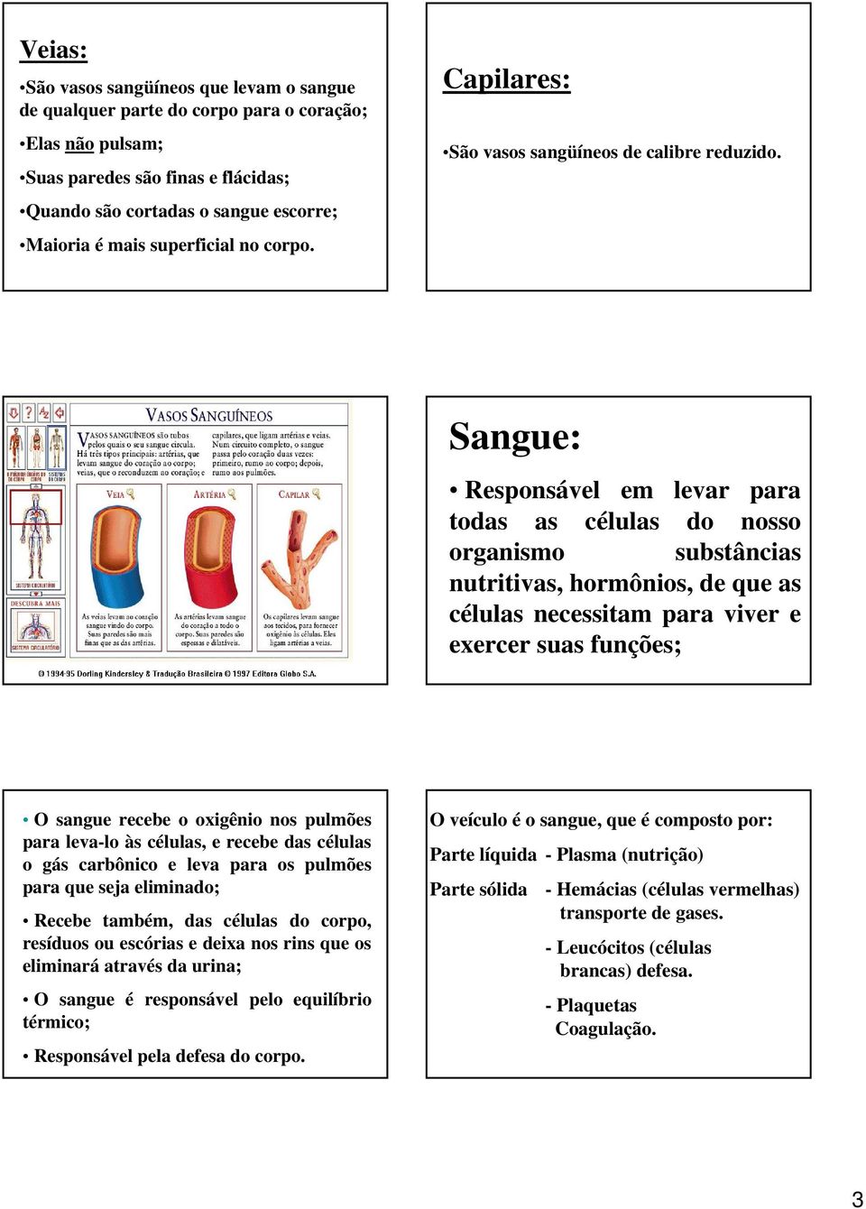 Sangue: Responsável em levar para todas as células do nosso organismo substâncias nutritivas, hormônios, de que as células necessitam para viver e exercer suas funções; O sangue recebe o oxigênio nos