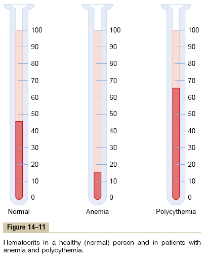 P pressão r raio do tubo L comprimento do tubo η viscosidade do sangue Fatores