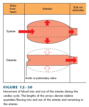 Energética na sístole e diástole Ciclo cardíaco Ep Por que a pressão e o fluxo continuam durante a diástole?