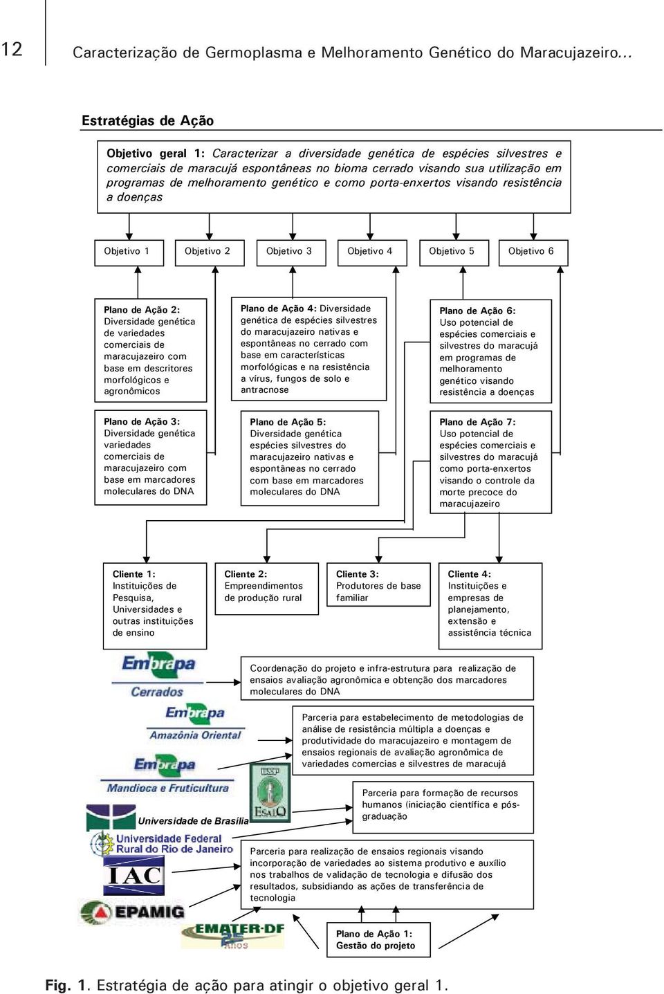 melhoramento genético e como porta-enxertos visando resistência a doenças Objetivo 1 Objetivo 2 Objetivo 3 Objetivo 4 Objetivo 5 Objetivo 6 Plano de Ação 2: Diversidade genética de variedades