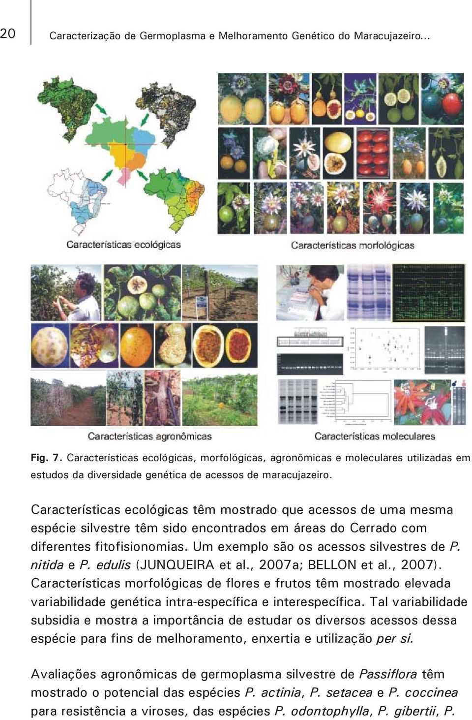 Características ecológicas têm mostrado que acessos de uma mesma espécie silvestre têm sido encontrados em áreas do Cerrado com diferentes fitofisionomias. Um exemplo são os acessos silvestres de P.