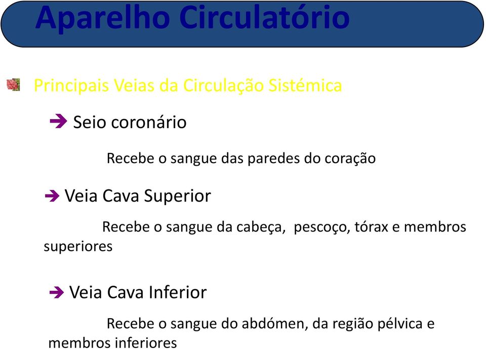 tórax e membros superiores Veia Cava Inferior Recebe o