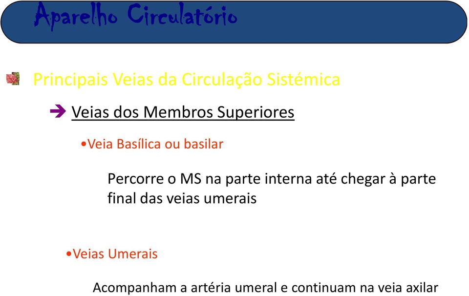 chegar à parte final das veias umerais Veias