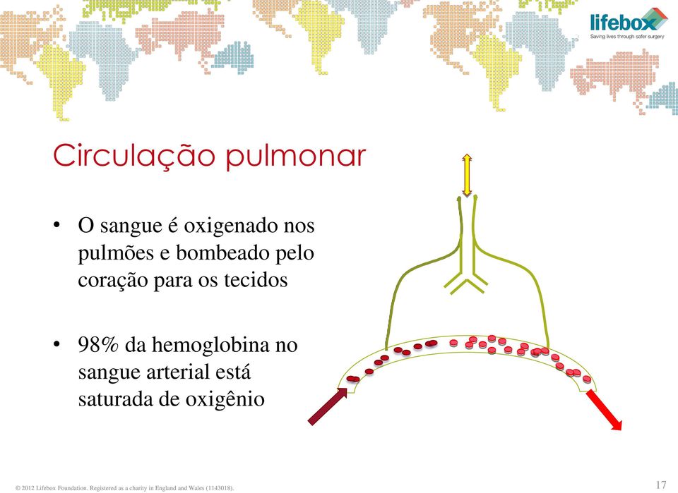 sangue arterial está saturada de oxigênio 2012 Lifebox