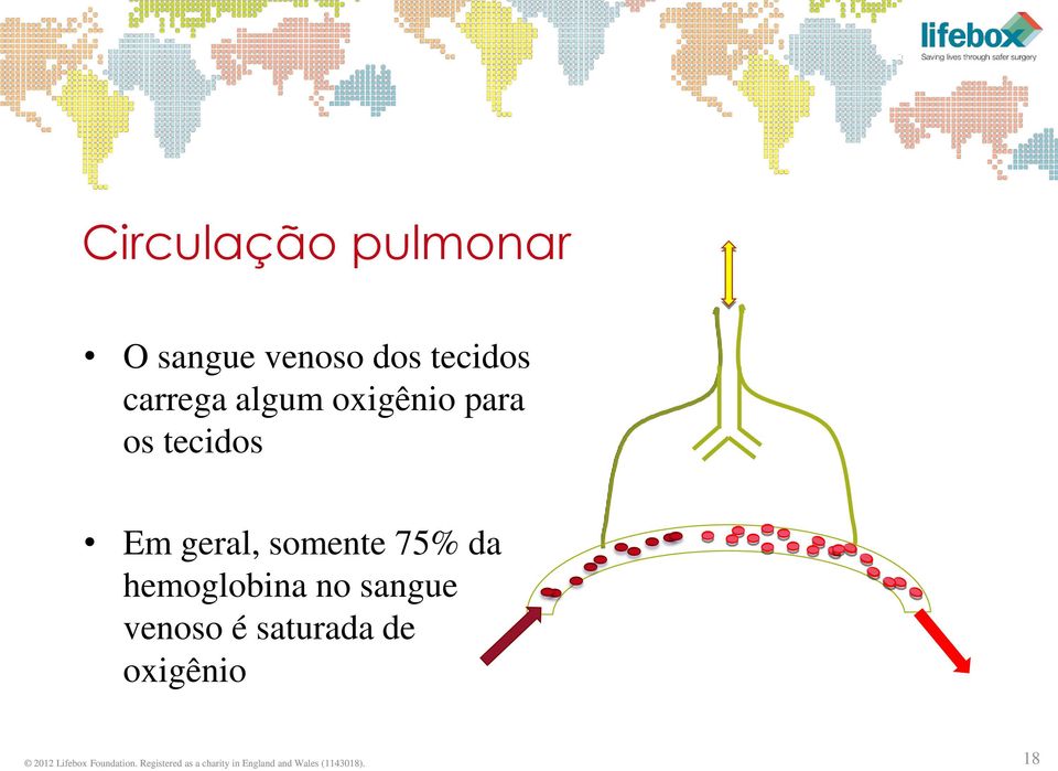 no sangue venoso é saturada de oxigênio 2012 Lifebox