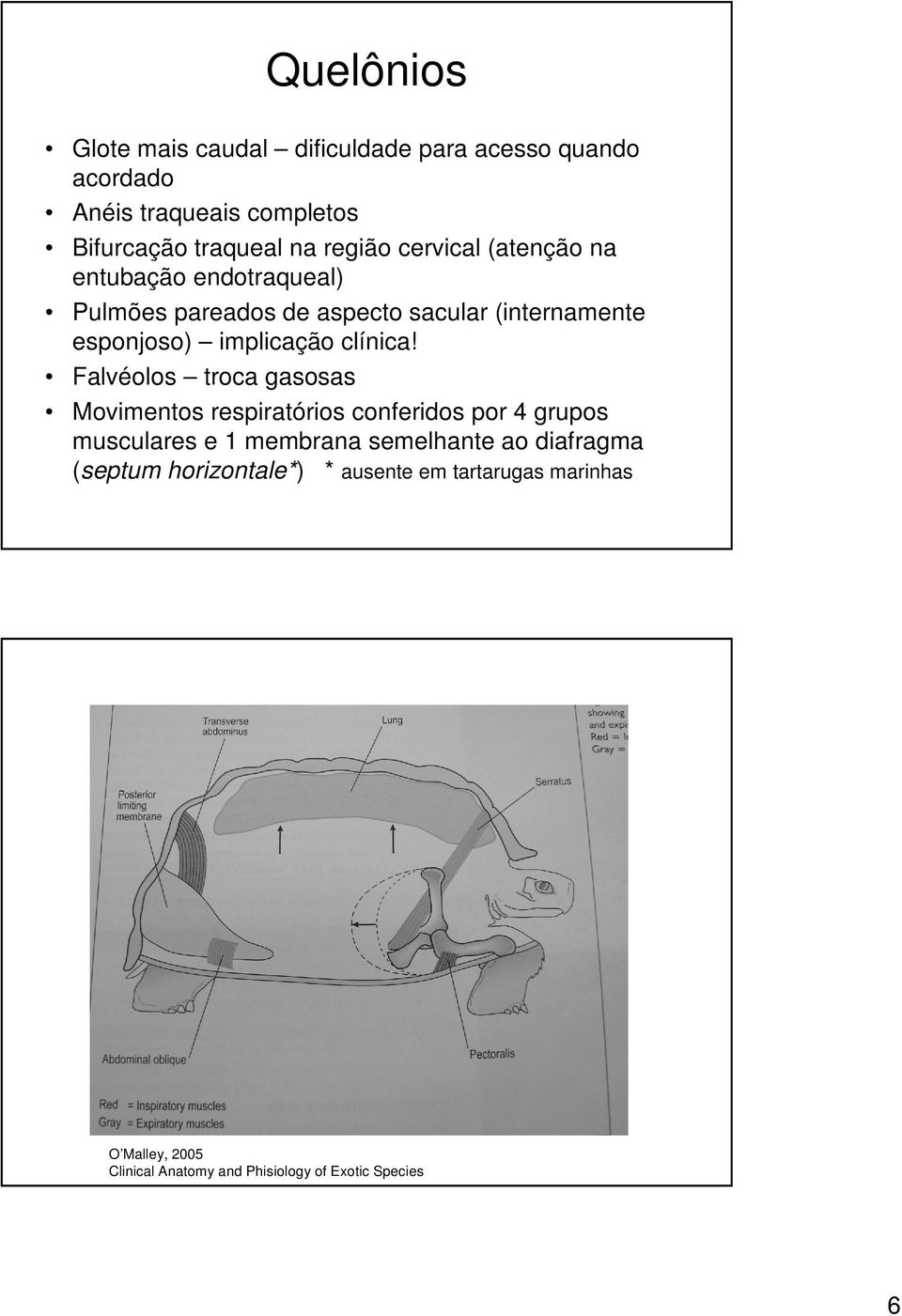 implicação clínica!