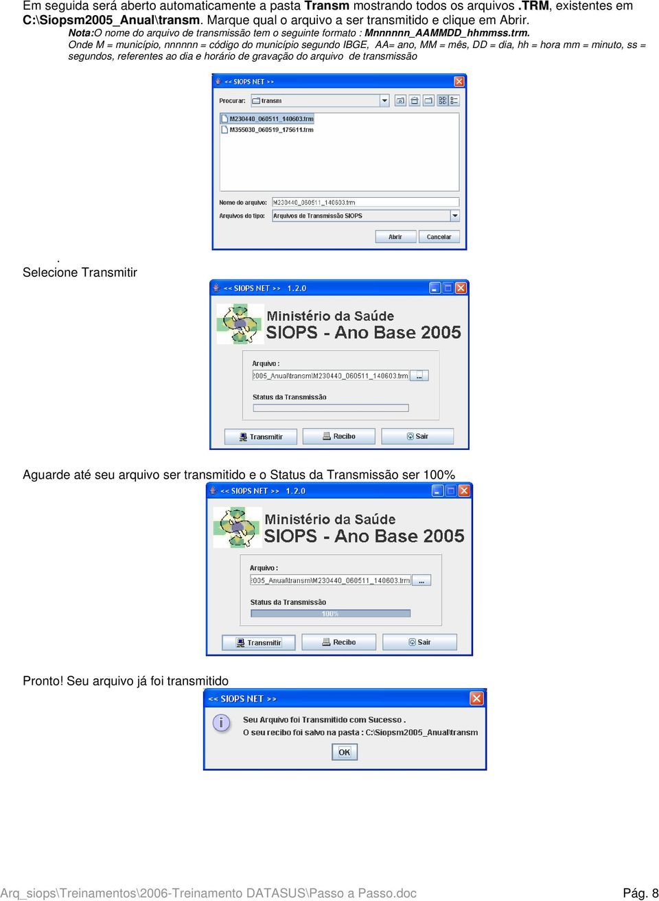 Onde M = município, nnnnnn = código do município segundo IBGE, AA= ano, MM = mês, DD = dia, hh = hora mm = minuto, ss = segundos, referentes ao dia e horário de gravação